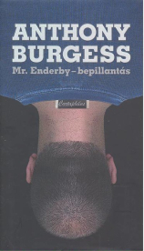 Mr. Enderby /Bepillantás