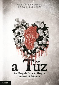 A tűz - Engelsfors-trilógia 2.