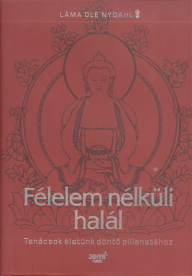 Félelem nélküli halál /Tanácsok életünk döntő pillanataihoz