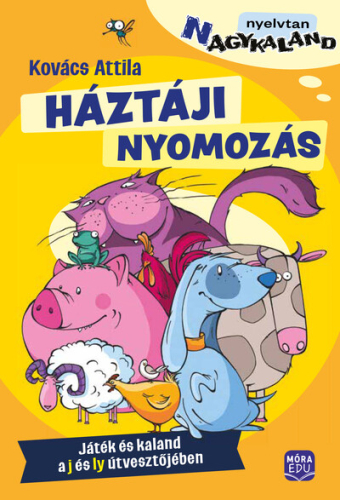 Háztáji nyomozás -  Játék és kaland a j és ly útvesztőjében - (N)agykaland