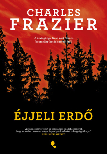 Éjjeli erdő
