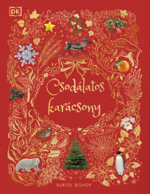 Csodálatos karácsony