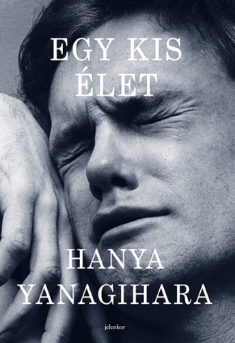 Egy kis élet (új kiadás)