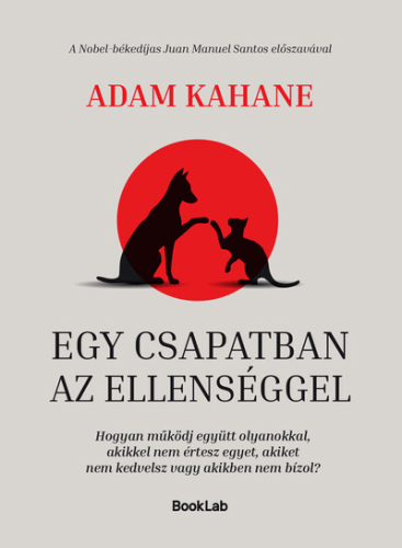 Egy csapatban az ellenséggel -  Hogyan működj együtt olyanokkal, akikkel nem értesz egyet, akiket nem kedvelsz vagy akik