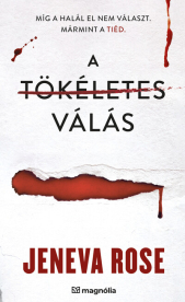 A tökéletes válás - A tökéletes házasság